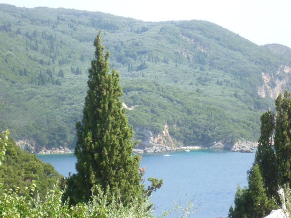 Apartmán Noufaro Paleokastritsa Pokoj fotografie